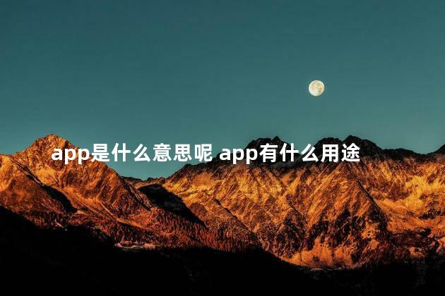 app是什么意思呢 app有什么用途